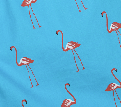 Flamingo - A leg to stand on